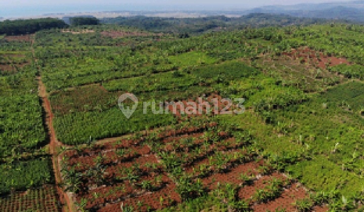 For Sale Industrial Land with Container Access and HGB in Batang, Central Java For Sale Industrial Land with Container Access and HGB in Batang, Central Java