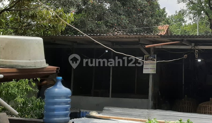 Disewakan Ruang Usaha Ternak Lele di Jl. Pudak Payung Semarang 1