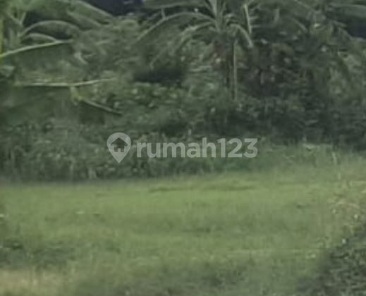 Land for Sale, Ready to Build in Mijen, Semarang 1