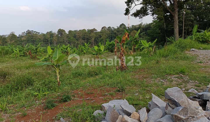Dijual Tanah Industri Siap Bangun Di Wringin Putih Kab. Semarang 2