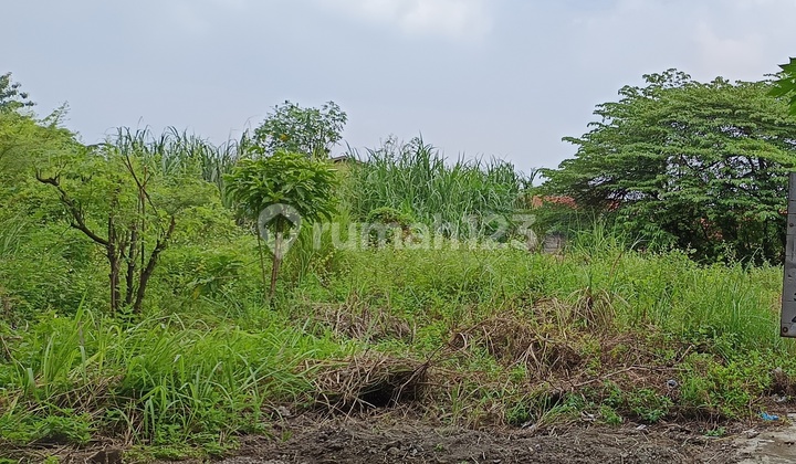 Dijual Tanah Istimewa Di Jln Raya Ketileng Semarang 2