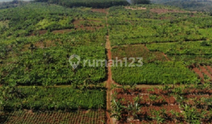 For Sale Industrial Land with Container Access and HGB in Batang, Central Java For Sale Industrial Land with Container Access and HGB in Batang, Central Java