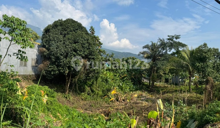 Dijual Tanah Produktif Tepi Jalan Diponegoro Ungaran Jawa Tengah 2