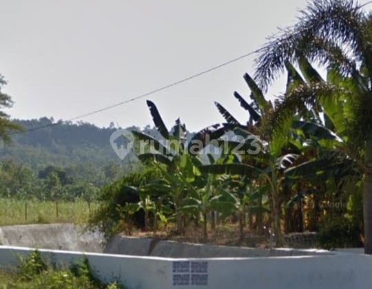 Strategic and Economically Priced Residential Land for Sale in Tembalang, Semarang 1