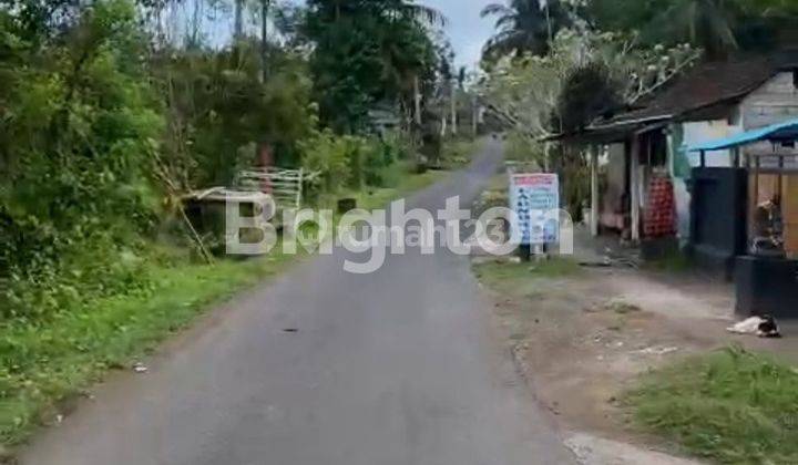 CHEAP HOUSE IN BALI TABANAN INSTALLMENTS ONE MILLION 2