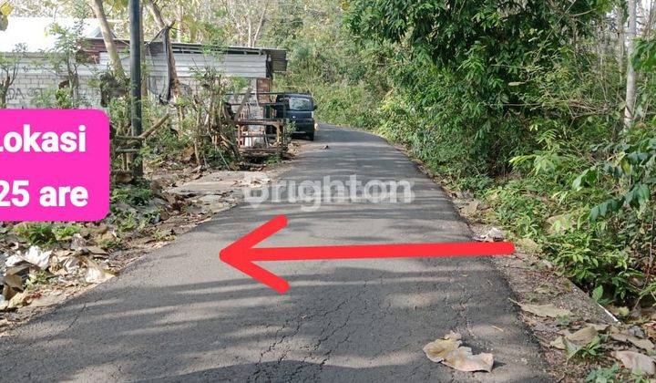 TANAH MURAH ZONA KUNING DEKAT PANTAI PANDAWA  1