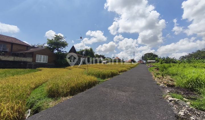 Land For Leasehold At Berawa Beach Kuta Bali