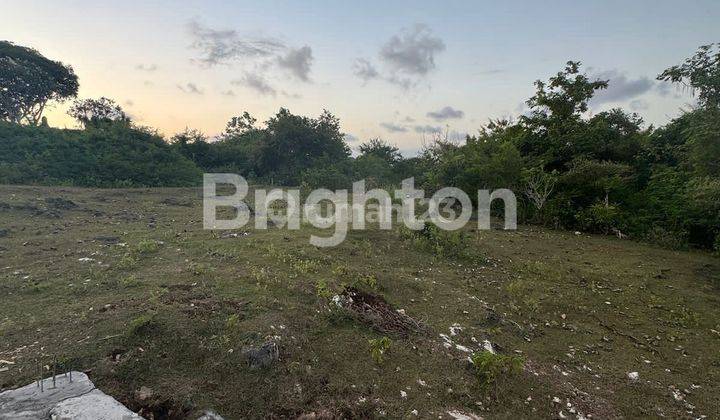 UNIQUE LAND WITH JUNGLE VIEWS NEAR BALANGAN BEACH 2