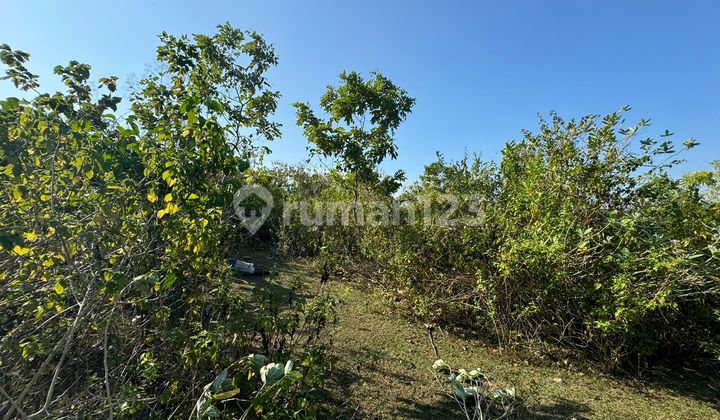 For Sale: Strategic Land Near Balangan Beach – Jimbaran, South Kuta, Badung – Bali