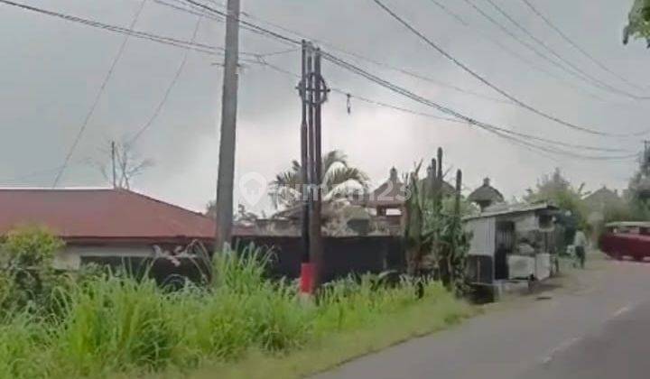 Di Jual Tanah Sangat Murah Luas Lima Ribu Meter View Gunung Di Jln Raya Bedugul,bali 2