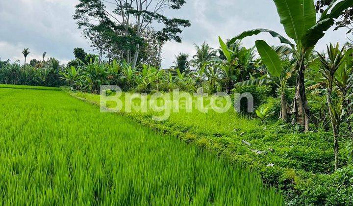 FOR SALE SUPER LAND AT UBUD PREMIUM LOCATION 1