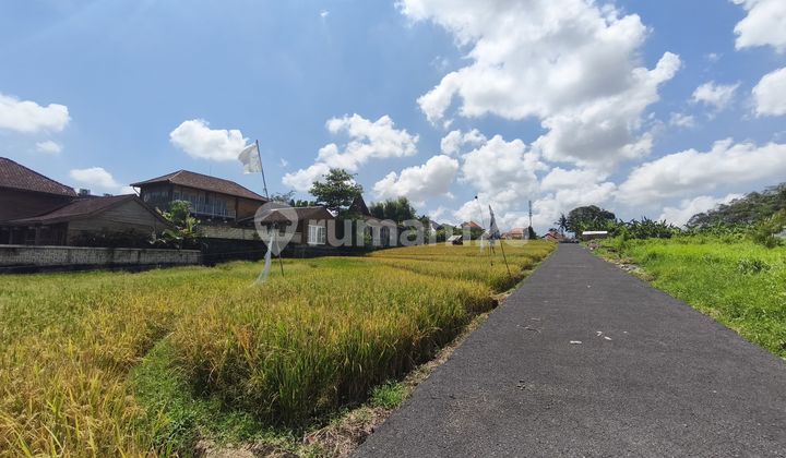 Land for Leasehold in Berawa, Kuta, Bali Land for Leasehold in Berawa, Kuta, Bali