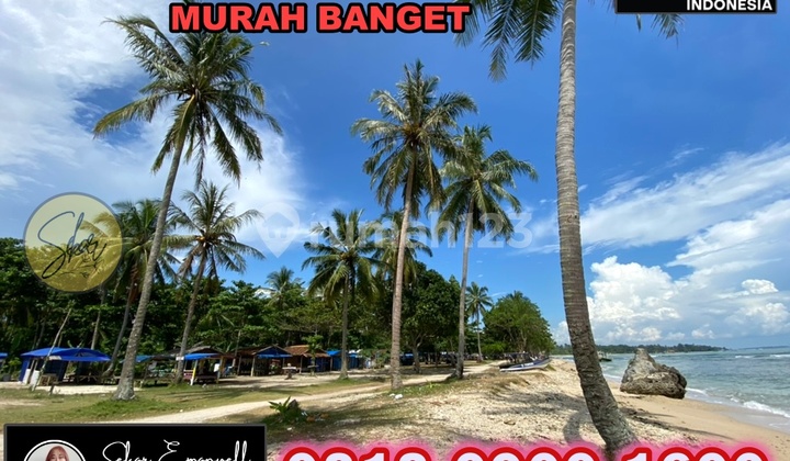 Tanah Pantai Carita Pasir Putih Cocok Bangun Hotel Bintang Lima  4
