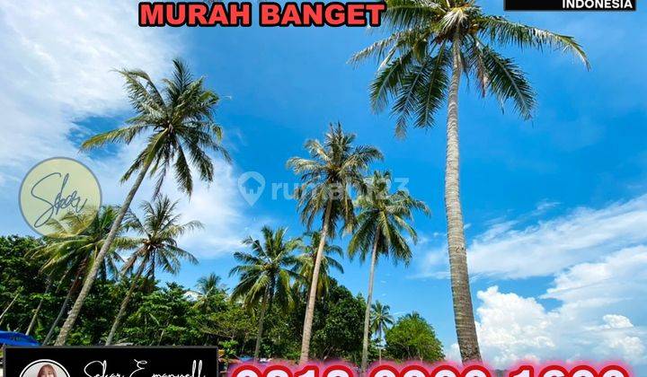 Tanah Pantai Carita Pasir Putih Cocok Bangun Hotel Bintang Lima  8