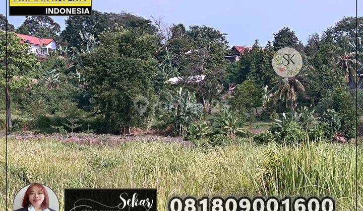Tanah Carita Berbukit View Laut Perumahan Masih Bisa Cuan  8