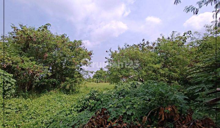 Tanah Pinggir Jalan Raya Serang Pusat Keramaian Bangun Gudang Ok 6