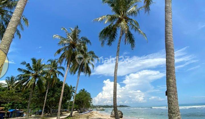 Paling Murah Tanah Lepas Pantai Carita View Persis di Kuta Bali 1