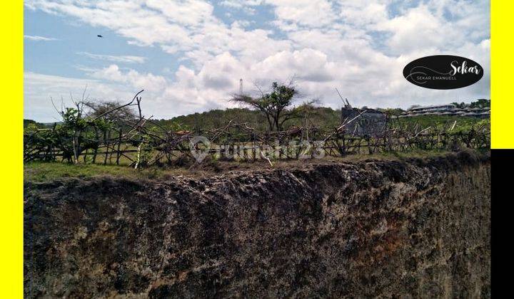 Tanah Hilltop Bangli View Non Blocking Ocean Bisa Turn Ke Laut  2