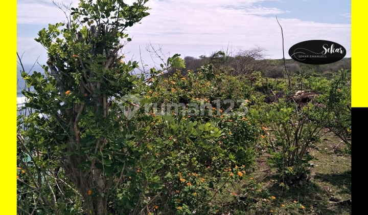 Tanah Hilltop Bangli View Non Blocking Ocean Bisa Turn Ke Laut  7