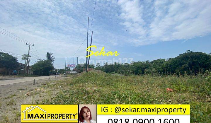 Harga Murah Spesial Kavling Komersial Maja Pinggir Jalan Raya 4