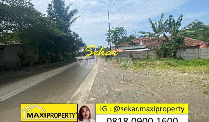 Kavling Komersial Murah Siap Bangun Di Maja Lebak Pinggir Jalan 5