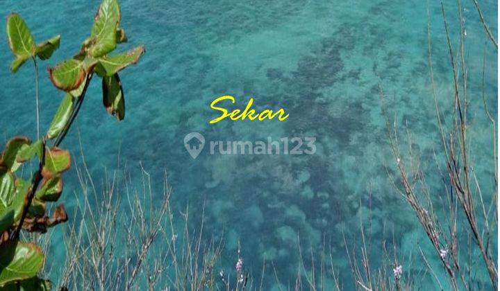 Tanah Tebing Di Atas Pantai Batu Barak Dekat Pandawa View Laut 2