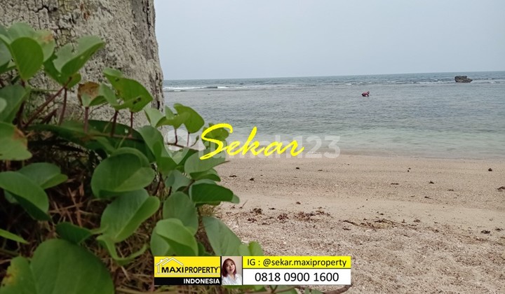 Tanah Pantai Carita Cocok Bangun Resort Mewah Pantai Landai Tanah Pantai Carita Cocok Bangun Resort Mewah Pantai Landai