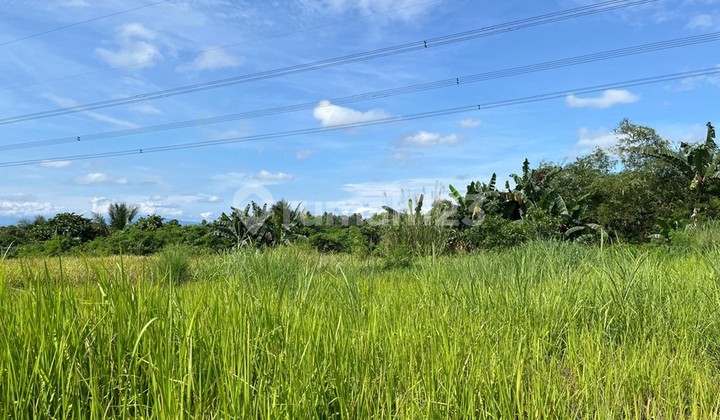 Tanah Maja Lebak Banten Pinggir Jalan Raya Sudah Sertifikat