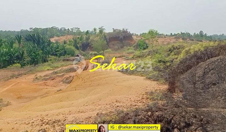 Labuan Land Suitable for Farming and Plantations, Very Good