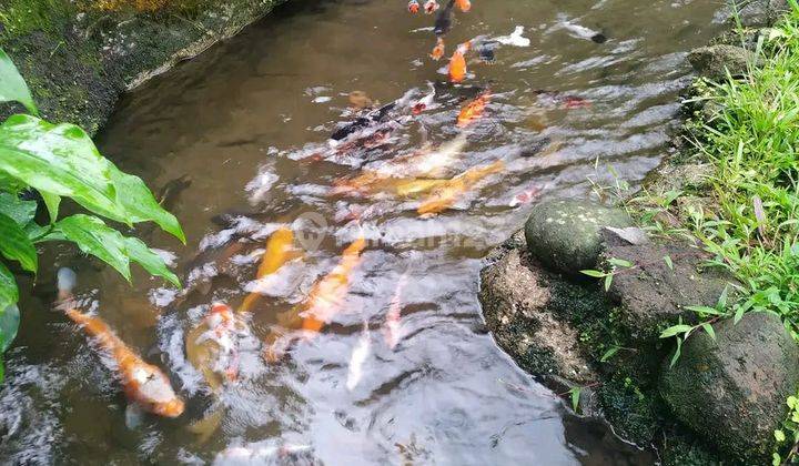 Villa Cantik Adem Gunung Salak Bogor 2