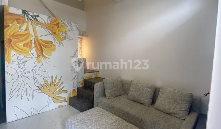 Termurah Tabebuya Ukuran 40M BSD Termurah Tabebuya Ukuran 40M BSD