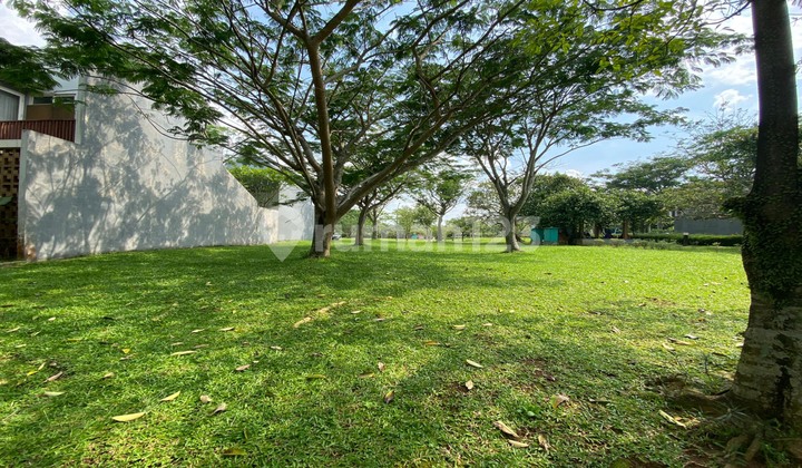Land Plot for Sale at Avani BSD at a Very Great Price!!