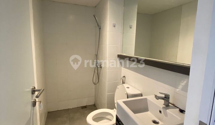 Cheapest 40M Tabebuya Size BSD 2