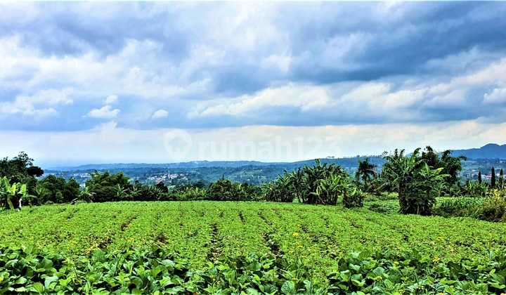 DIJUAL KAVLING DI PUNCAK POSISI SANGAT BAGUS HARGA MURAHH