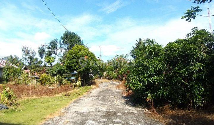 Disewakan Gudang Saentis Siap Huni Daerah Percut Sei Tuan Sampali 3