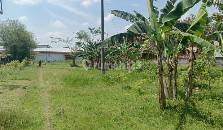 Disewakan Gudang di Grobogan lb 1200m lt 7000 m SHGB 3