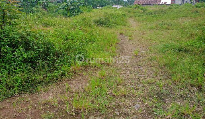 Dijual tanah di Plumbon Mangkang SHM 8393 m² 2