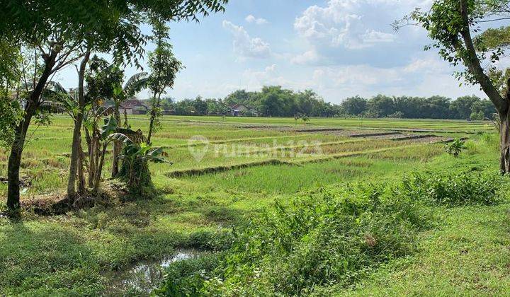 Dijual tanah di Ngawi SHM 8 ha 2