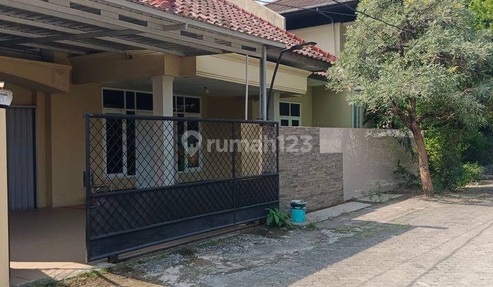 Dijual rumah bagus di Puri Anjasmoro Lt 330 m SHM 2