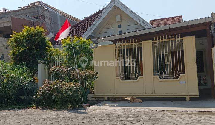 Dijual Rumah 1 Lt Di Semarang Indah 250 M Shm Bagus 1