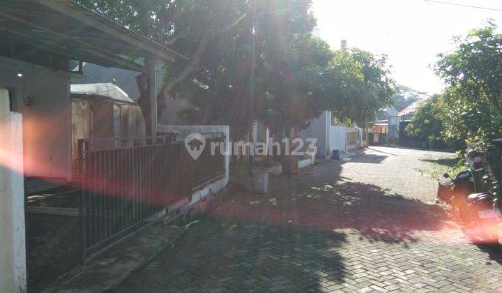 Dijual Rumah Di Bulusan Tembalang Shm Bagus 2