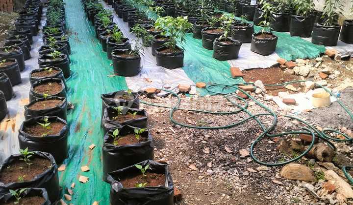 Dijual Tanahdi Perum Dolog Raya 237 M SHM 2