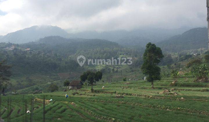 Rumah Villa Pacet Mojokerto SHM Murah 5