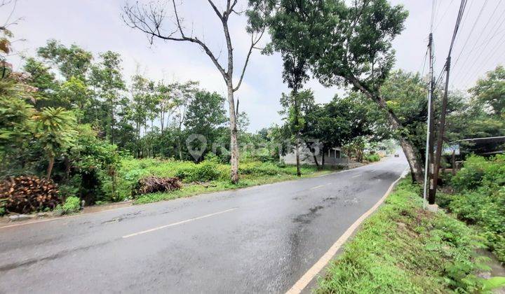 Tanah Kering Cocok Untuk Ruko Dan Gudang di Miri Sragen 3