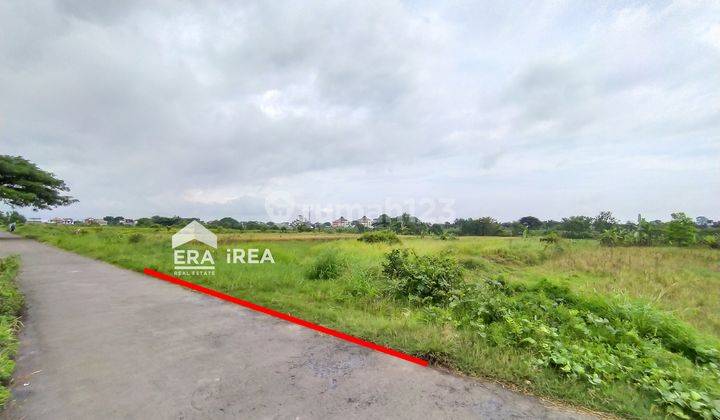 Tanah di Delanggu, Klaten 2.390 m² Murah Dekat Jl. Jogja Solo 1