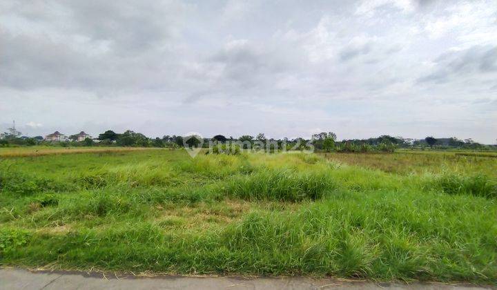 Tanah di Delanggu, Klaten 2.390 m² Murah Dekat Jl. Jogja Solo 2