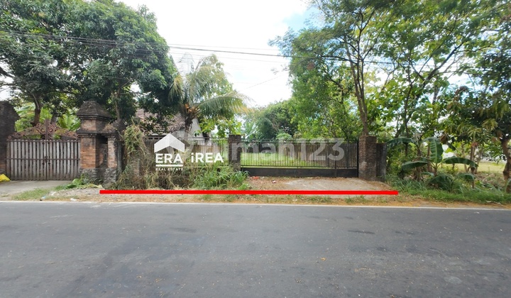 Tanah murah di Delanggu Klaten akses kontainer cocok untuk gudang Tanah murah di Delanggu Klaten akses kontainer cocok untuk gudang