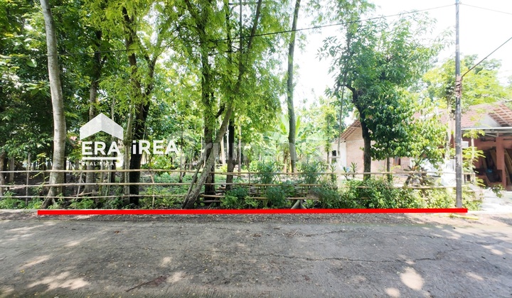 Tanah murah untuk rumah tinggal di Pucangan Kartosuro Solo