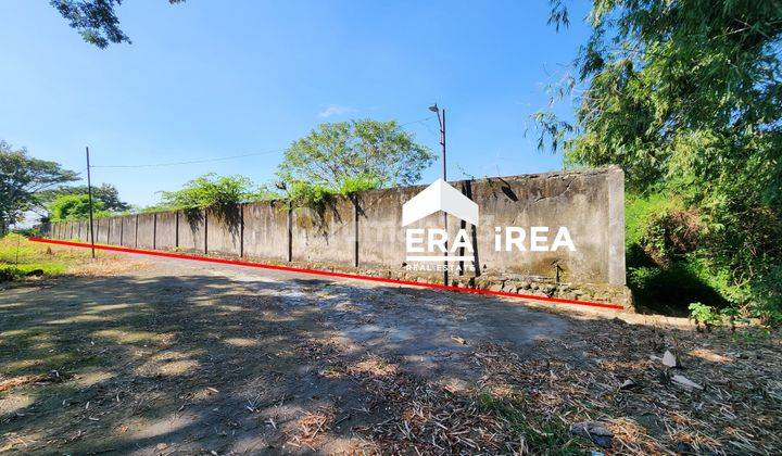 Tanah murah luas dekat exit TOL Karanganyar Solo  1