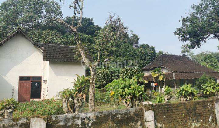 Rumah besar Selatan Pasar Kutukan Garum Blitar 2